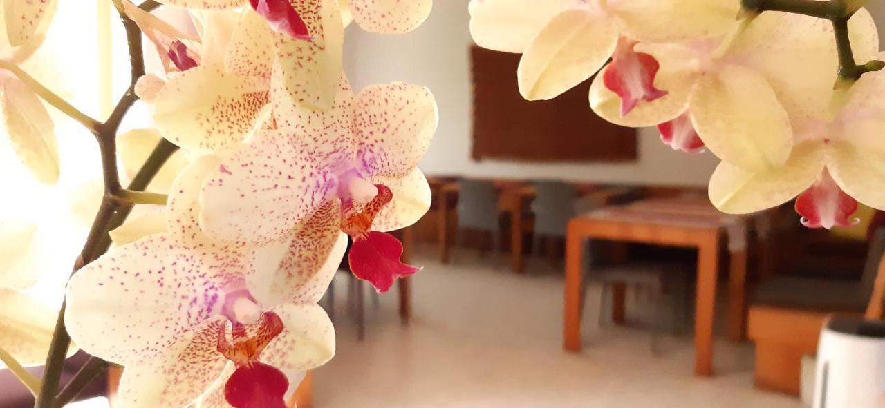 Hotel Gracanica 외부 사진
